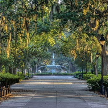 Savannah's Southern Charm